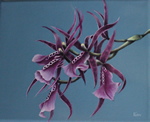 Spider Orchids - Oil on Linen - size: 8”x10”